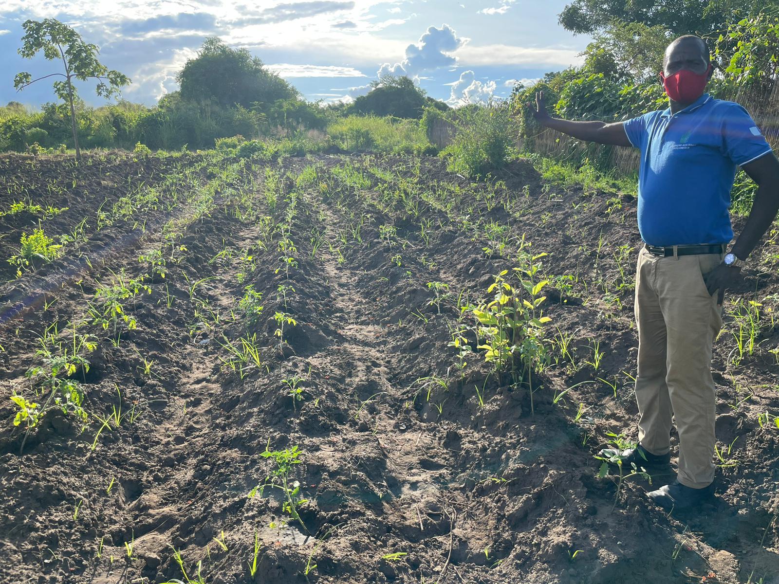 Agricultura resiliente — apoio a produtores locais
