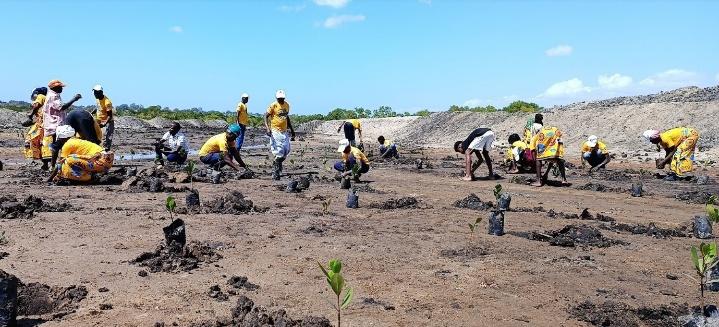 ACRISD reforça apoio à UniLúrio na mobilização comunitária para a conservação e restauração do mangal em Mecufi — 3